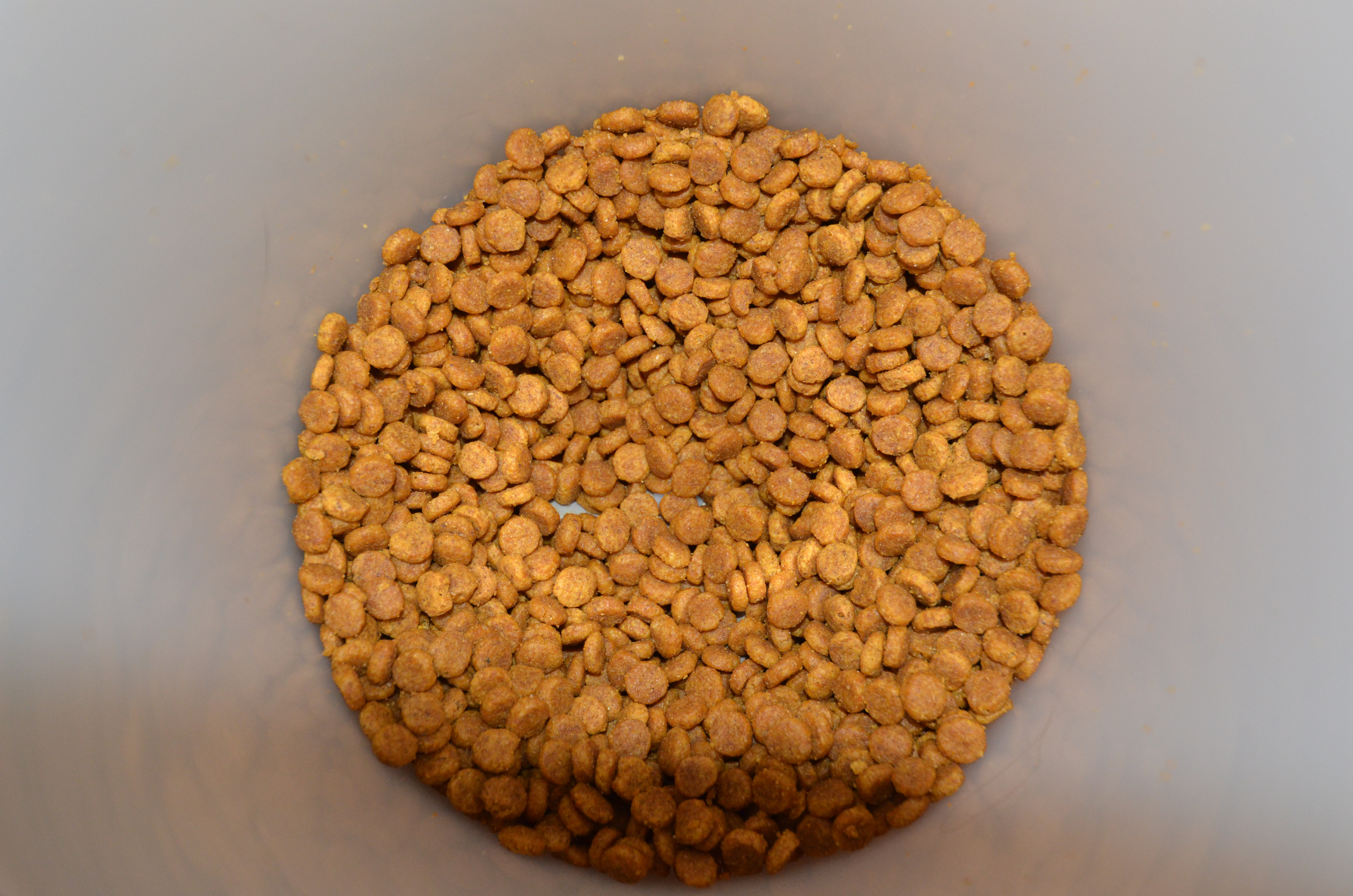 A close-up photograph of dry cat food