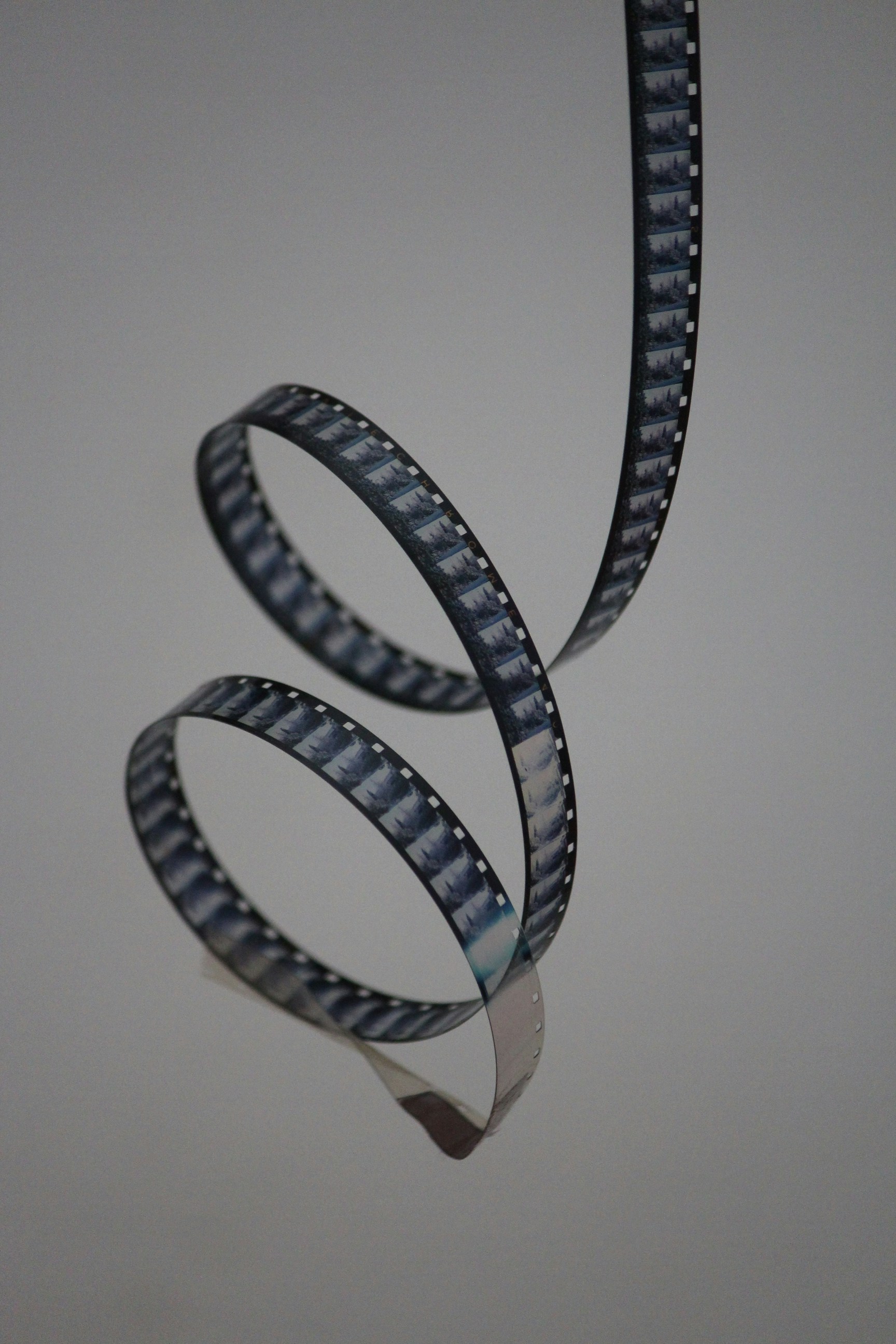 Dangling roll of film